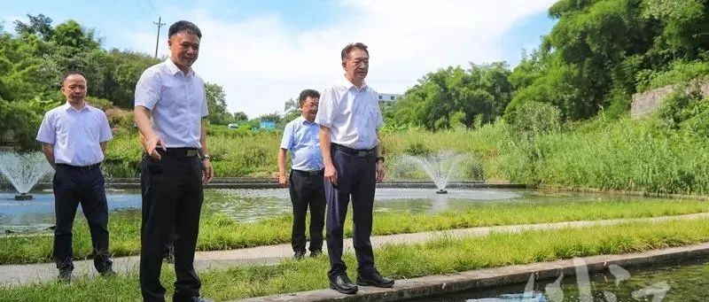 杨林兴带队赴龙马潭区调研督导学习宣传贯彻习近平总书记来川视察重要指示精神工作