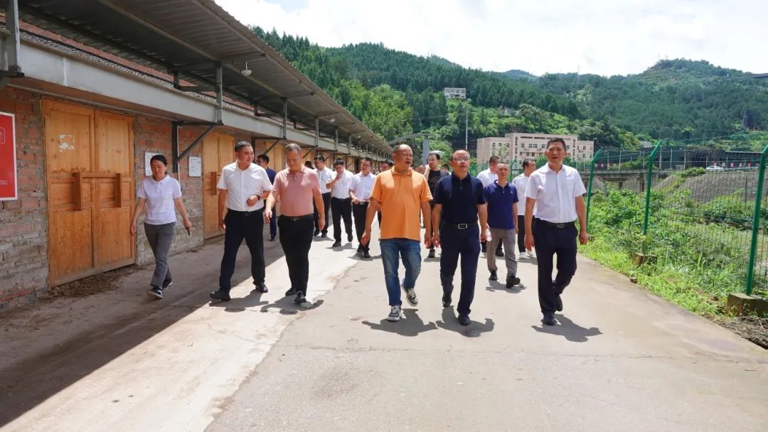 【区县委书记抓环保】副市长、古蔺县委书记任晓波：要以守土尽责的政治担当、齐抓共管的大局意识，做好生态保护工作