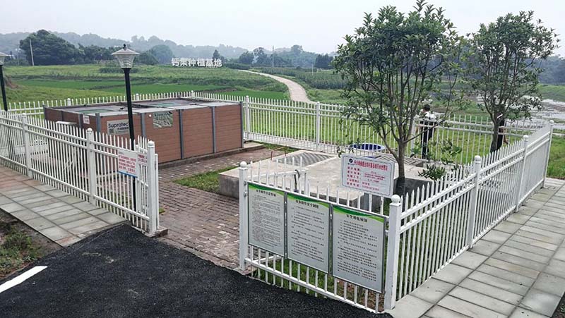 守护环境安全丨打响安全“前哨站” 全面排查整治农村污水治理设施隐患