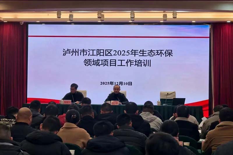 江阳区强化生态环境领域项目管理，聚力提升治理效能